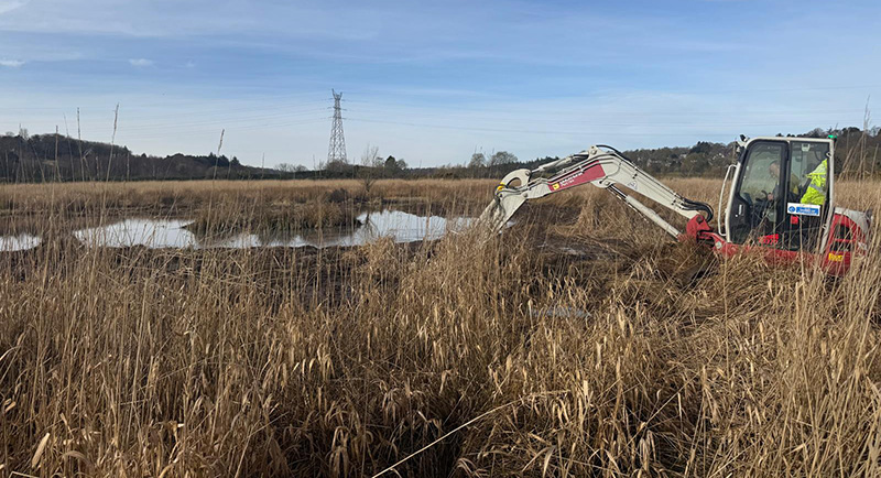 Wader scrape being created