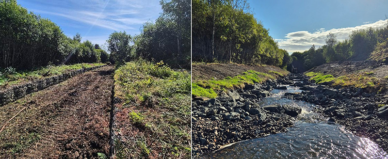 Before and after removal of gabions from channel