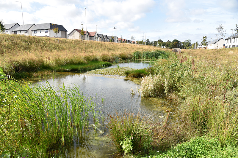 Blindwells landscape architecture