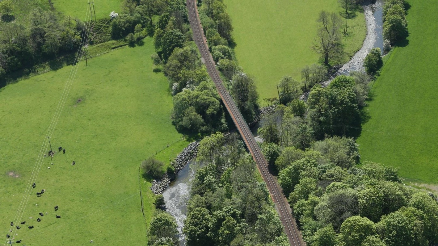 Aerial shot of line