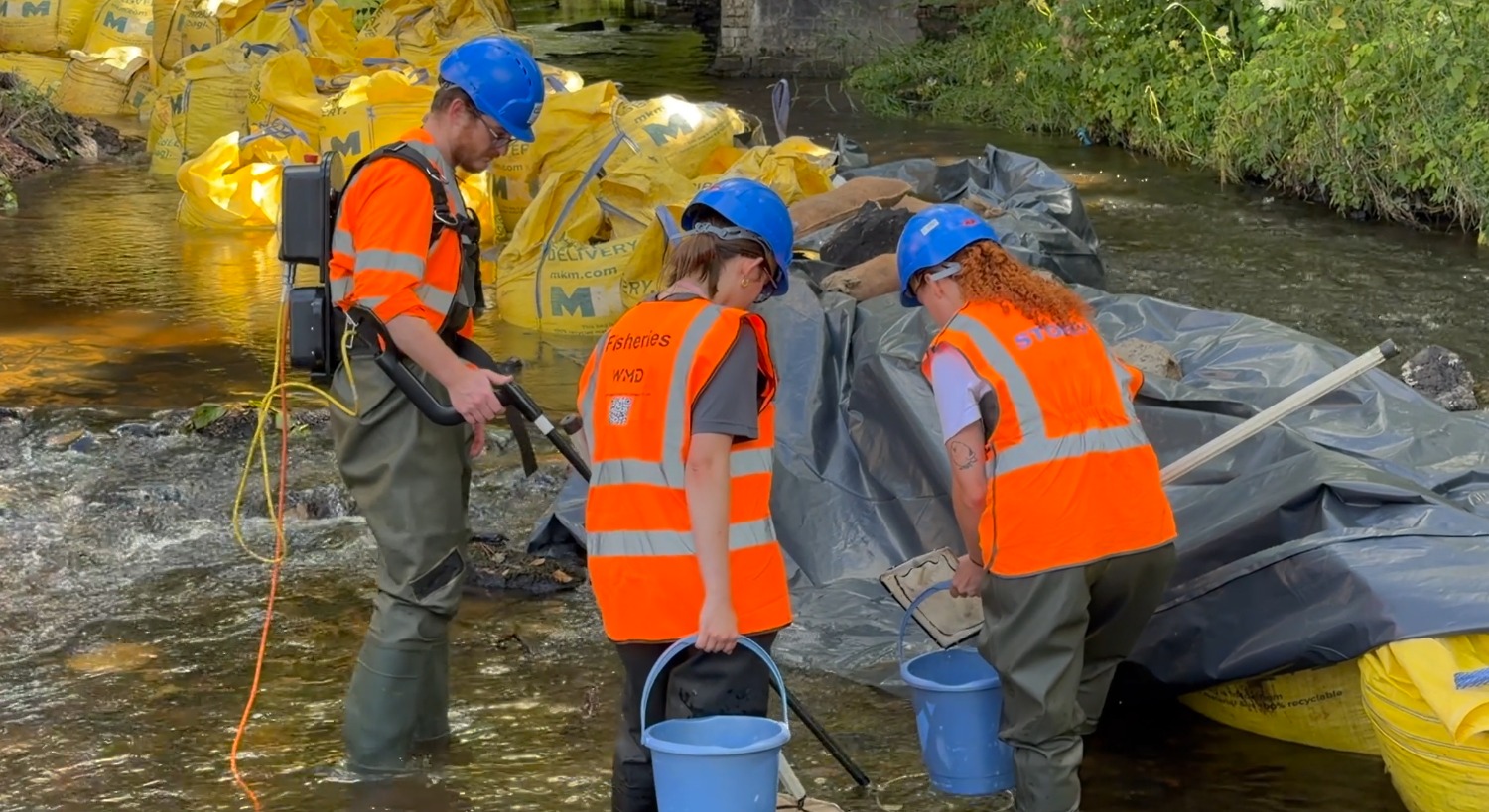 Fish rescued ahead of £8.6m sewer upgrade in Airdrie